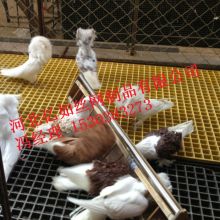 草编匠心 河南兴农鸽舍用品厂的稻草鸽子窝与信鸽蛋巢